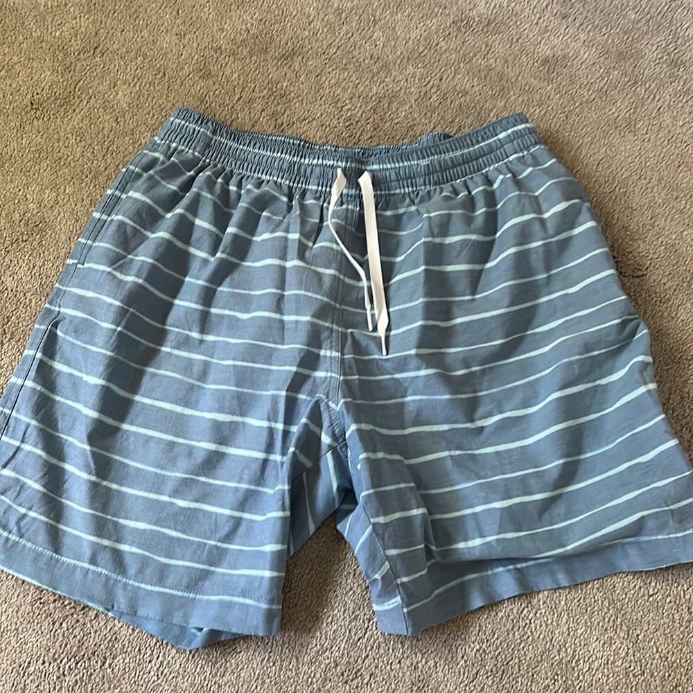 men’s chubbies brand men’s bathing suit